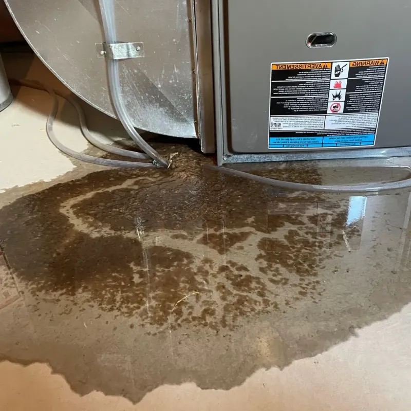 Pipe Burst and Leak Restoration in Tama, IA
